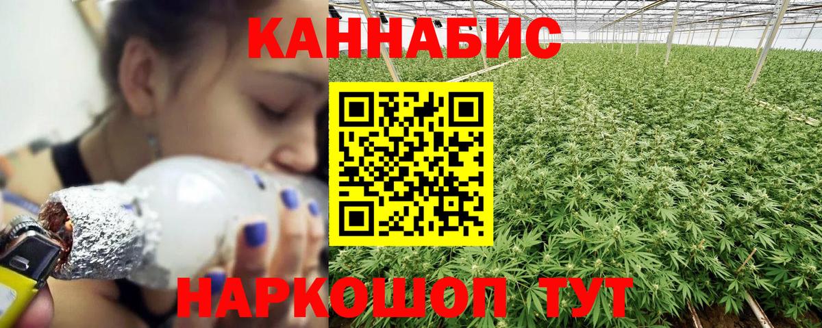 Марихуана индика  Бошки марихуана Amnesia  Назрань  Вход с VPN  Канабис тримм 